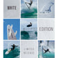 FCS II Reactor Performance Core Thruster Fins - White Edition