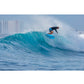 Torq The Don HP ACT - Futures - 4 + 1 Fin
