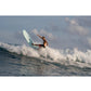 Torq Longboard TET - Futures - 2 + 1 Fin